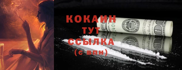 шишки Белоозёрский