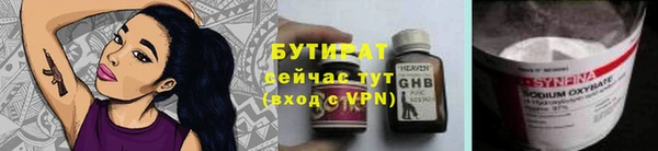 шишки Белоозёрский