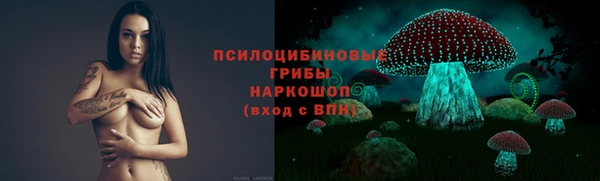 шишки Белоозёрский