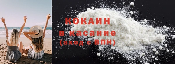 шишки Белоозёрский