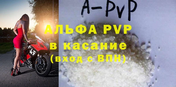 шишки Белоозёрский