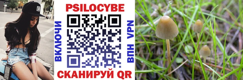 наркошоп  Вятские Поляны  Псилоцибиновые грибы Psilocybe 