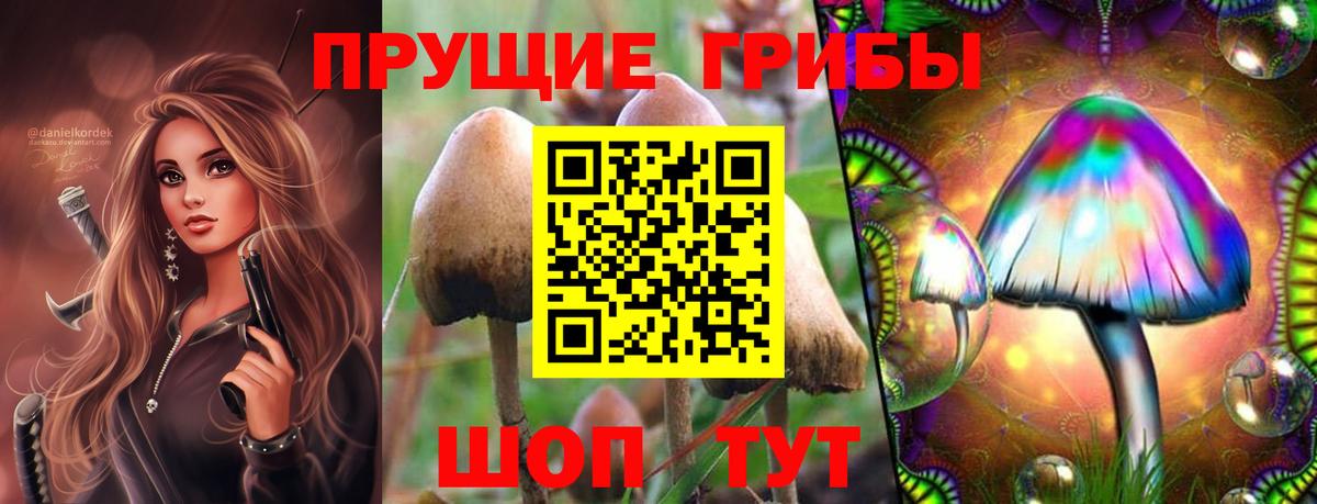 Псилоцибиновые грибы MAGIC MUSHROOMS  Галлюциногенные грибы GOLDEN TEACHER  Вятские Поляны  Вход с VPN 