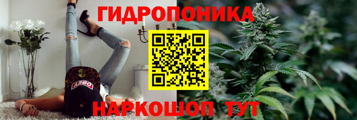 Бошки Шишки семена Вятские Поляны
